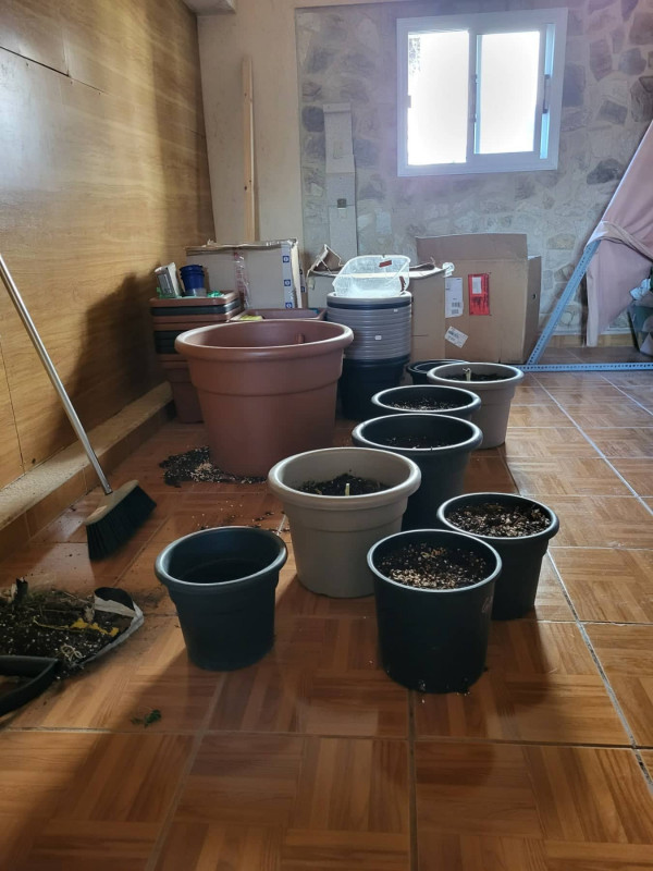 κανναβη 28/06