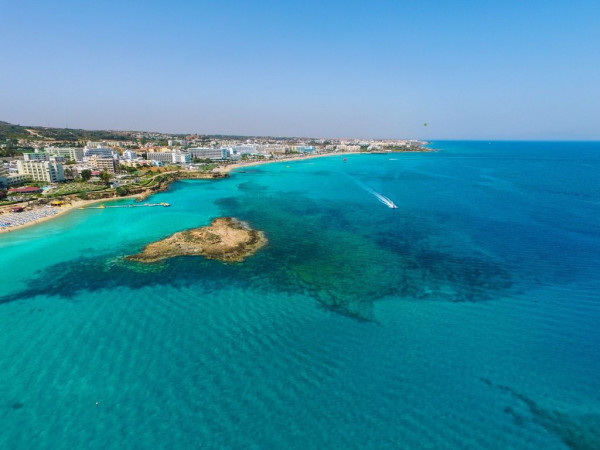 fig tree bay