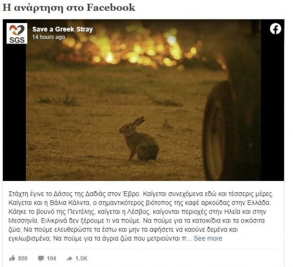 λαγός