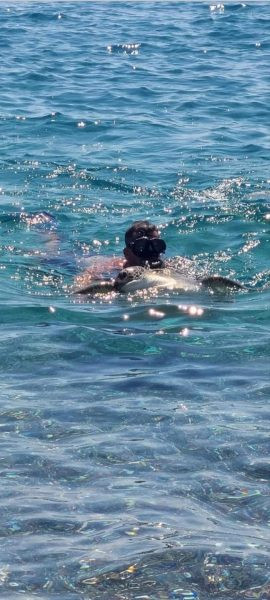 διάσωση χελώνας Ρόδος