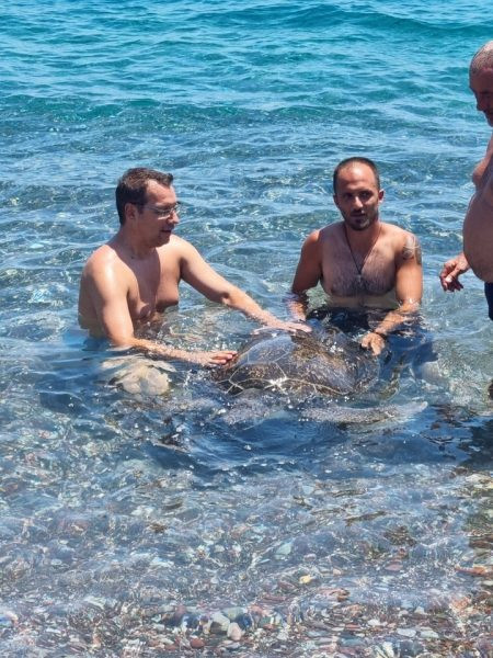 διάσωση χελώνας Ρόδος