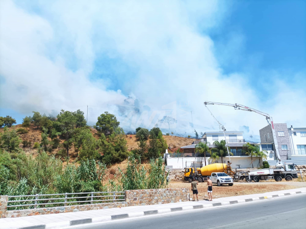 πυρκαγιά Μοσφιλωτή