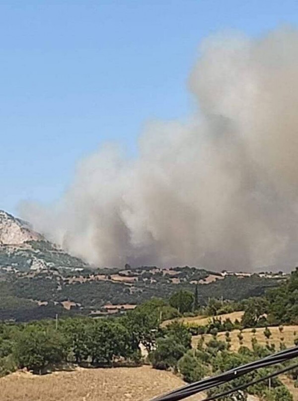 πυρκαγια αχαια