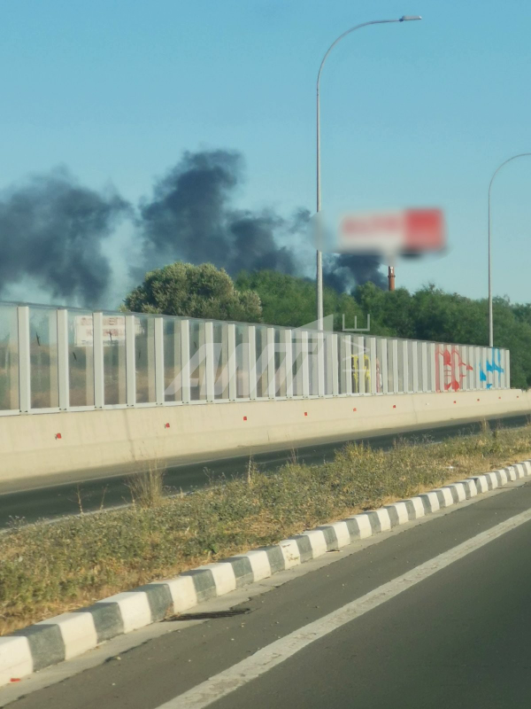 πυρκαγια βιομηχανικη λατσιων 
