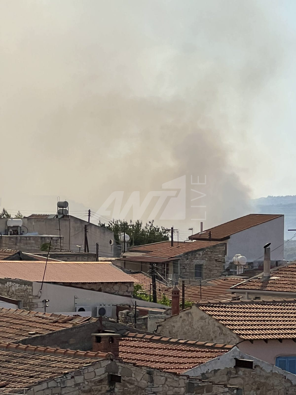φωτια επαρχια λεμεσου