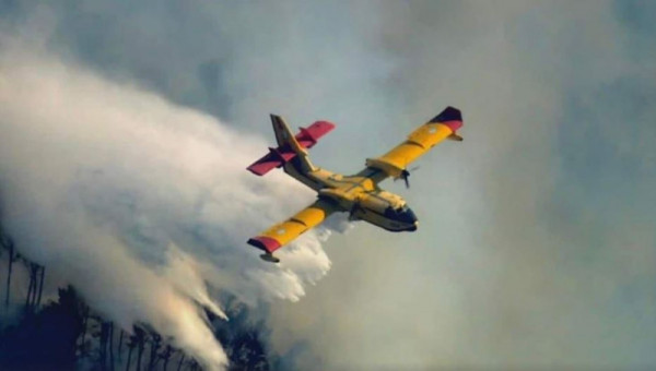 canadair 
