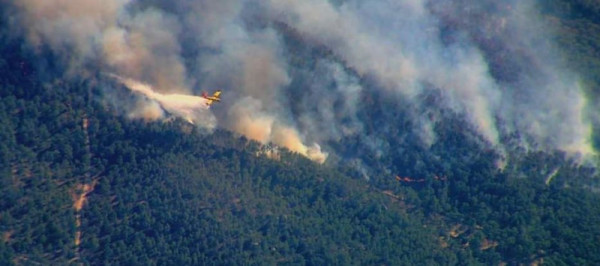 canadair 