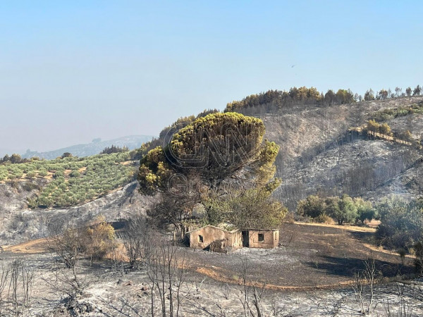 πυρκαγιά Ηλεία