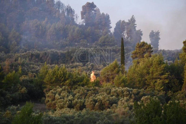 πυρκαγιά Ηλεία