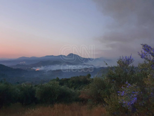 πυρκαγιά Ηλεία