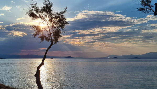 αιγινα πεντε