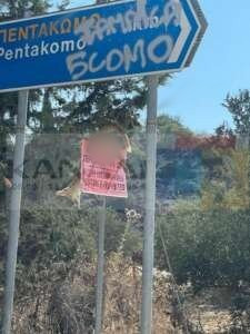 αλεπού
