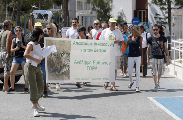 διαμαρτυρια γατος