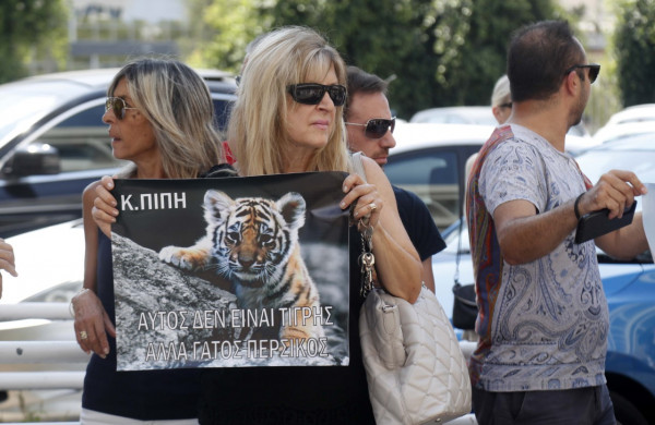 διαμαρτυρια γατος