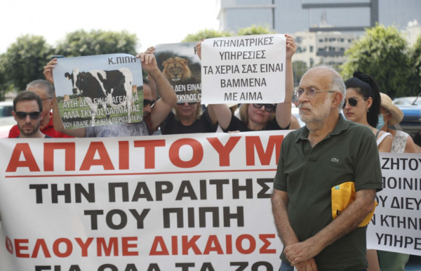 διαμαρτυρια γατος