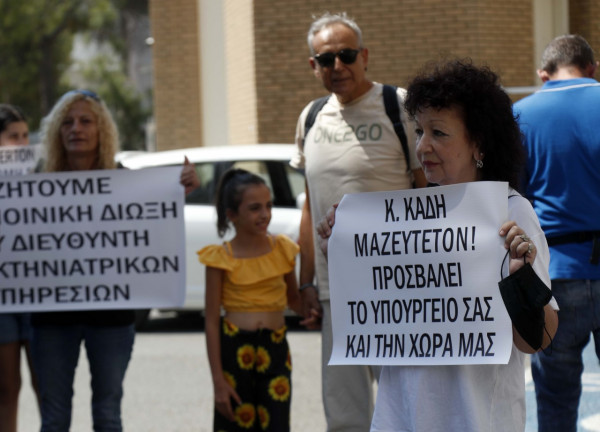 διαμαρτυρια γατος