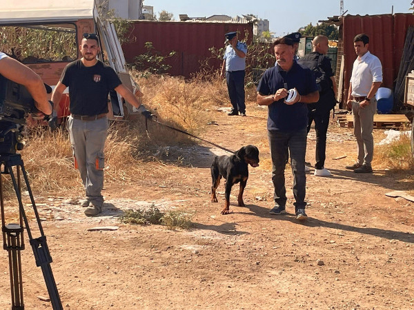επίθεση σκύλου Λεμεσός