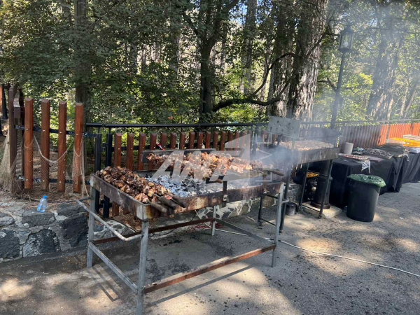 σουβλα προεδρική εξοχικη κατοικια τροοδος