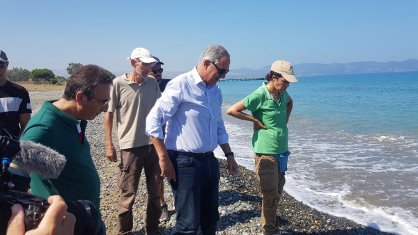 φωλιές χελώνων
