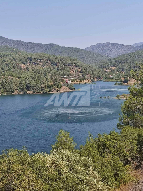 καμοφ