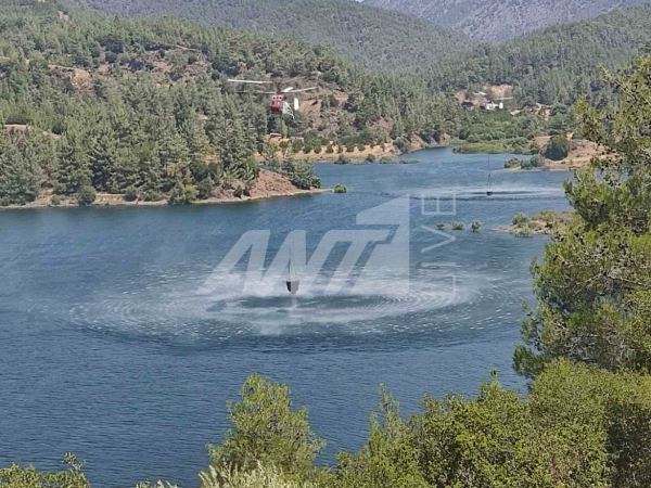 καμοφ