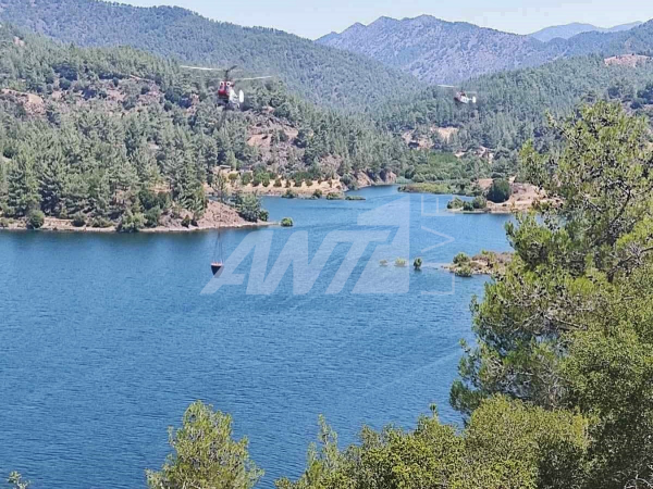καμοφ
