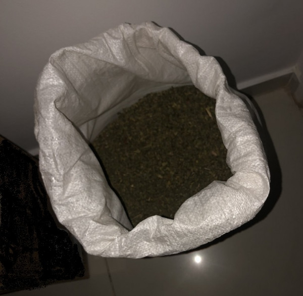 κανναβη