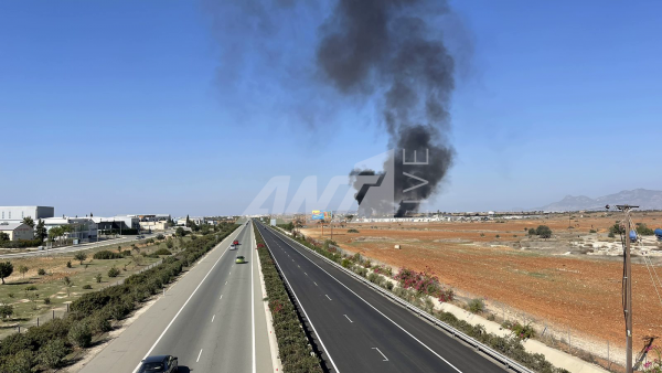 Πουρνάρα