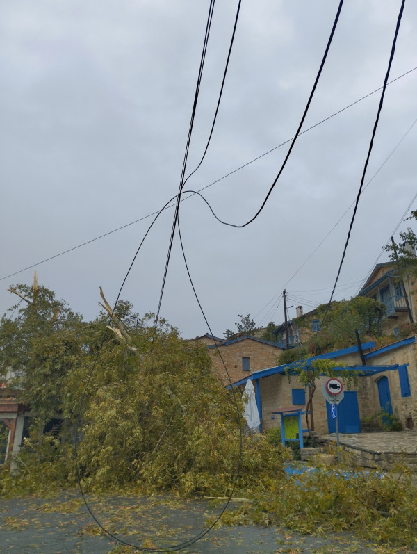 ΒΟΥΝΙ