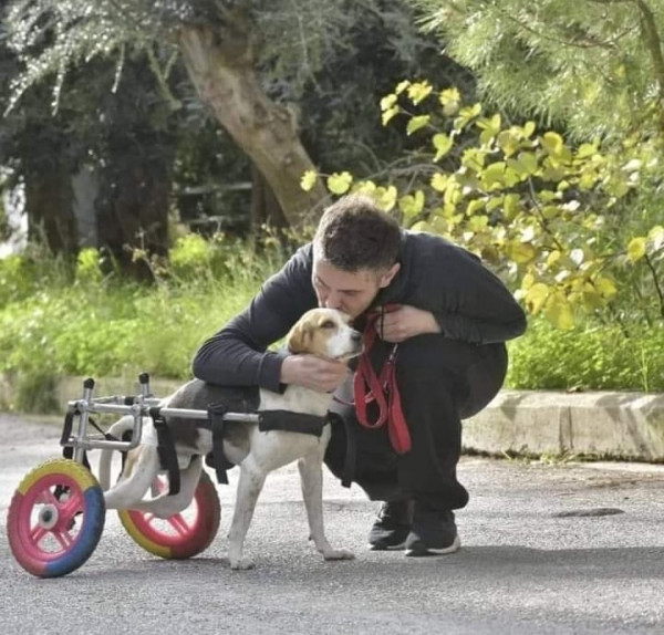 Ο Μιχάλης Χατζηγιάννης με τη σκυλίτσα του Ζάνη 