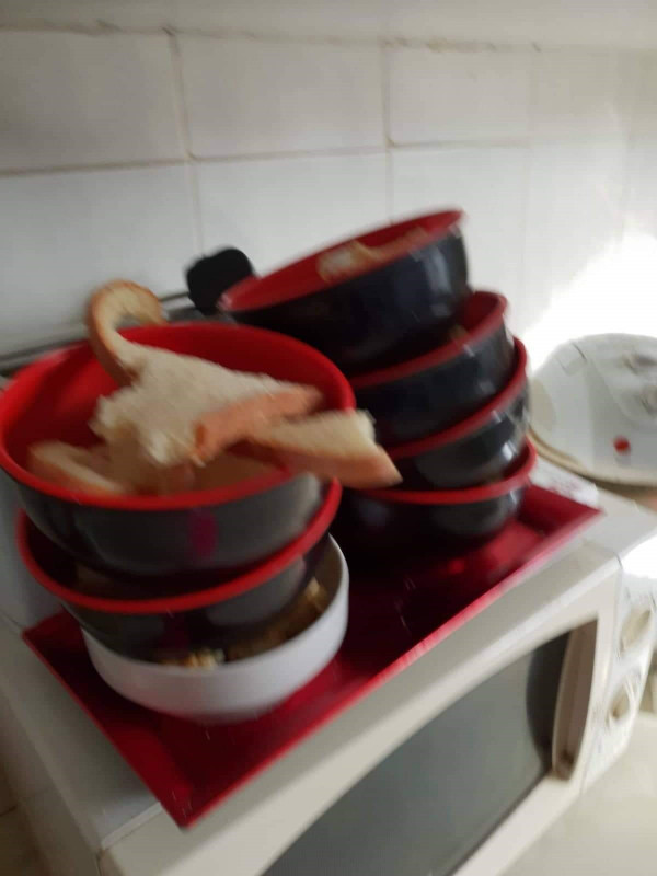 στέγη ηλικιωμένων