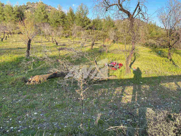θανατηφόρο μοτοσικλετιστής Λεμεσός