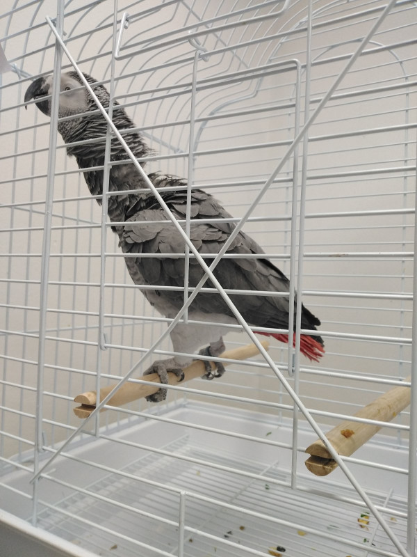 θξτ