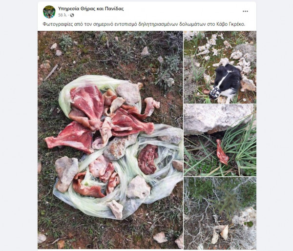Υπηρεσία Θήρας