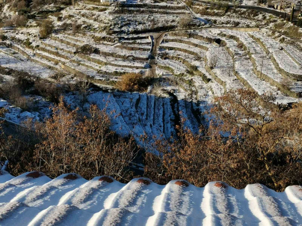 χιόνια Αγρός