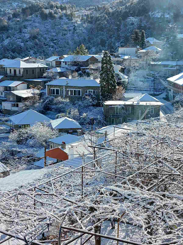 χιόνια Πεδουλάς