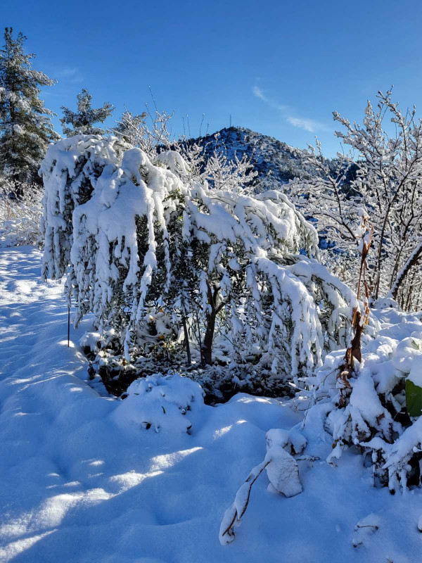 χιόνια Σπήλια