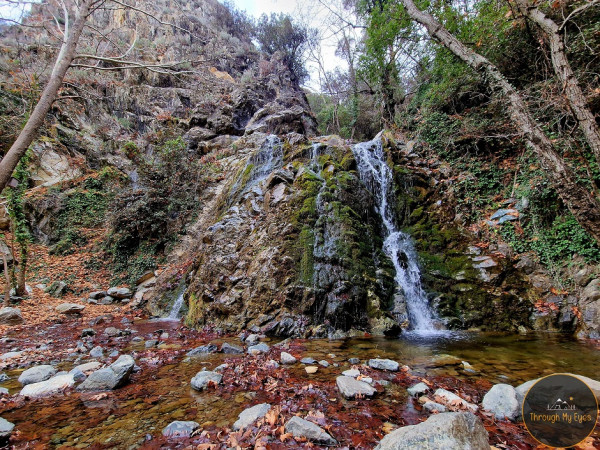 ΦΟΙΝΙ