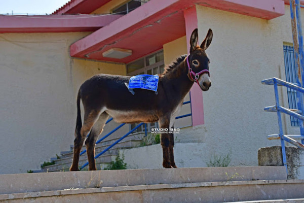 τρη