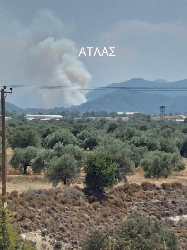  Όνομα πυρκαγιά Άγιος Επιφάνειος Παλαιχώρι