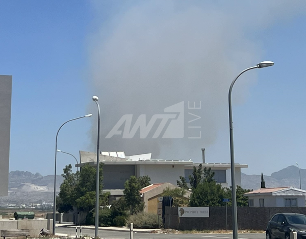 θανατηφόρο 60χρονη Λάρνακα