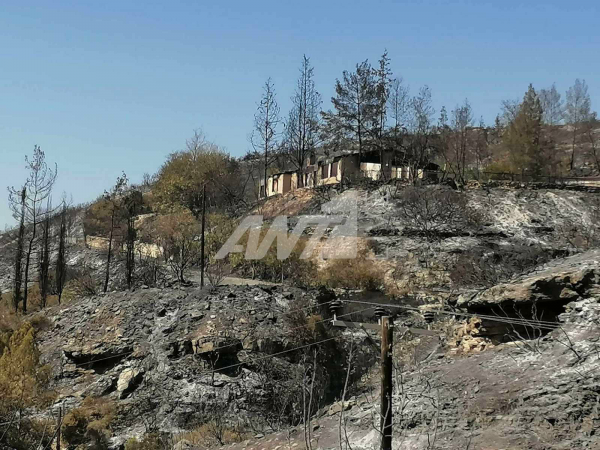 Απεσιά