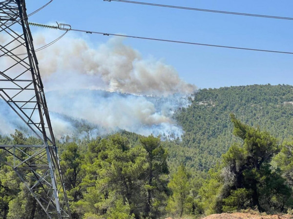 παρνηθα
