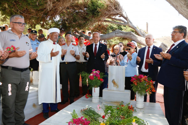ταταρ τηλλυρια 3