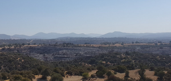 τηρ