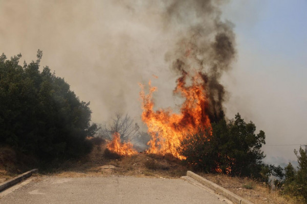 τρη