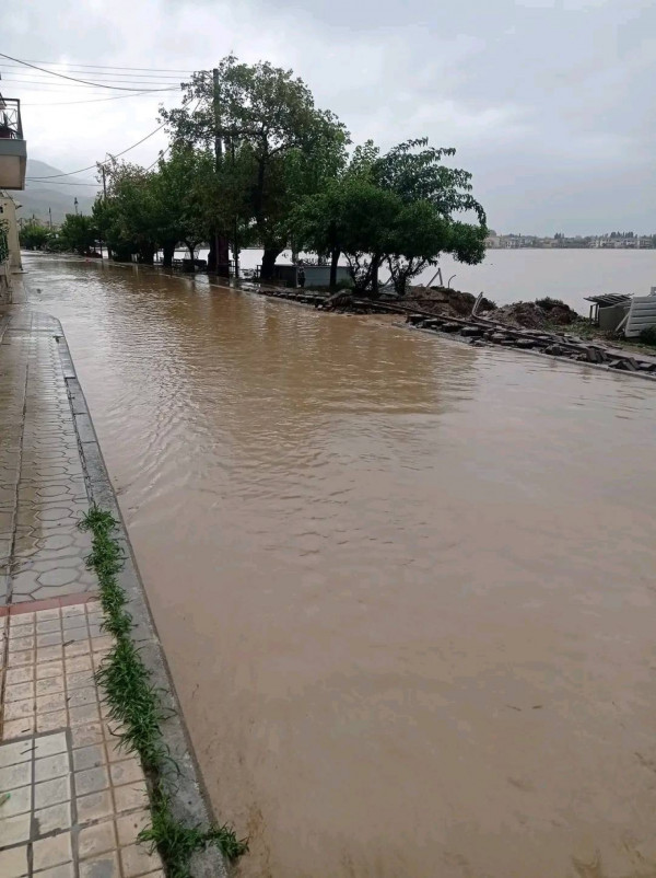ητρ