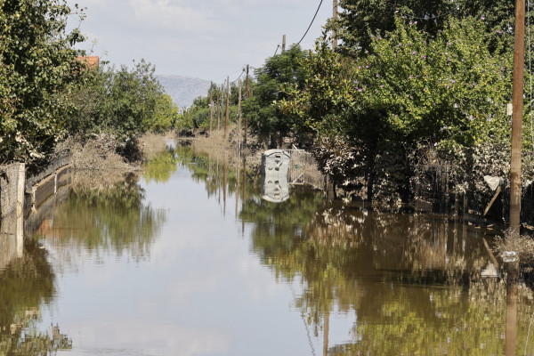 Η λεπτόσπειρα μπορεί να μεταδοθεί όταν ούρα ή ιστοί μολυσμένου ζώου έρθουν σε επαφή με βλεννογόνους