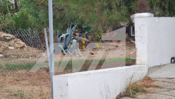 δολοφονία αλεξούι 8