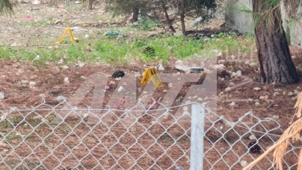 δολοφονία αλεξούι 9